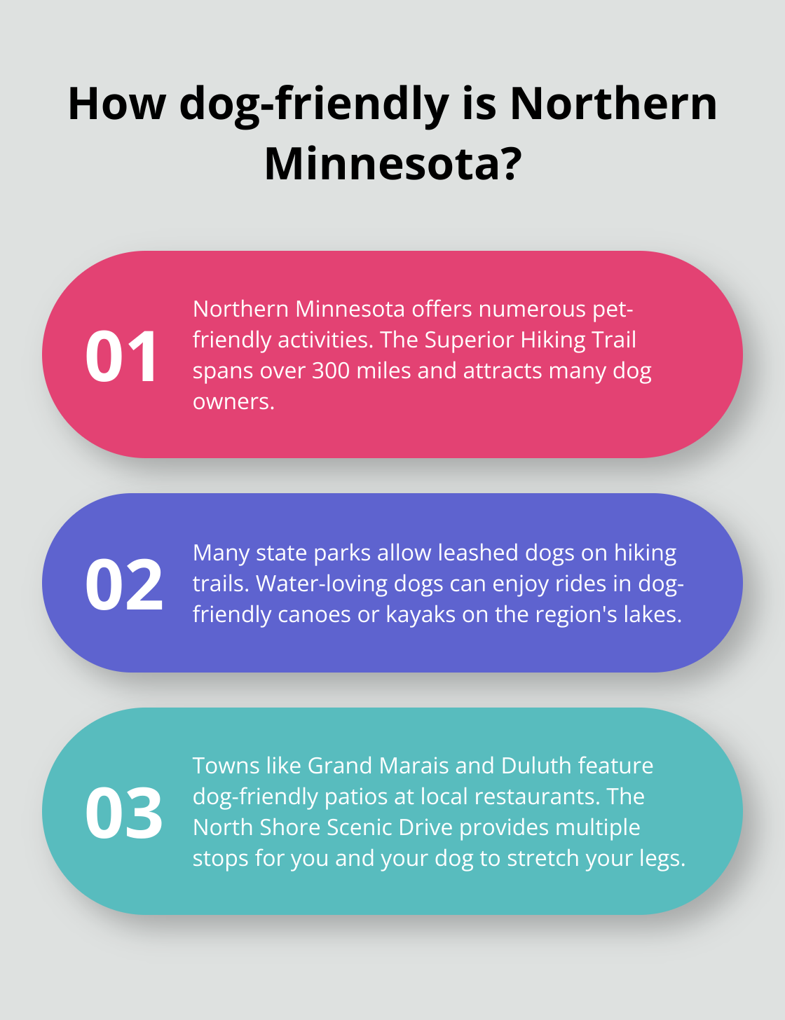 Infographic: How dog-friendly is Northern Minnesota?