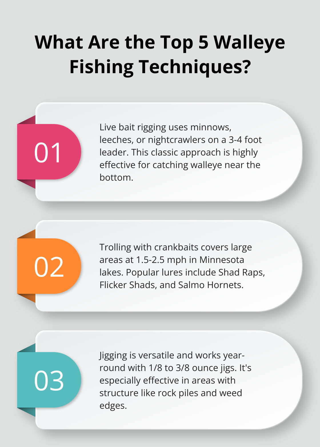 Infographic: What Are the Top 5 Walleye Fishing Techniques?