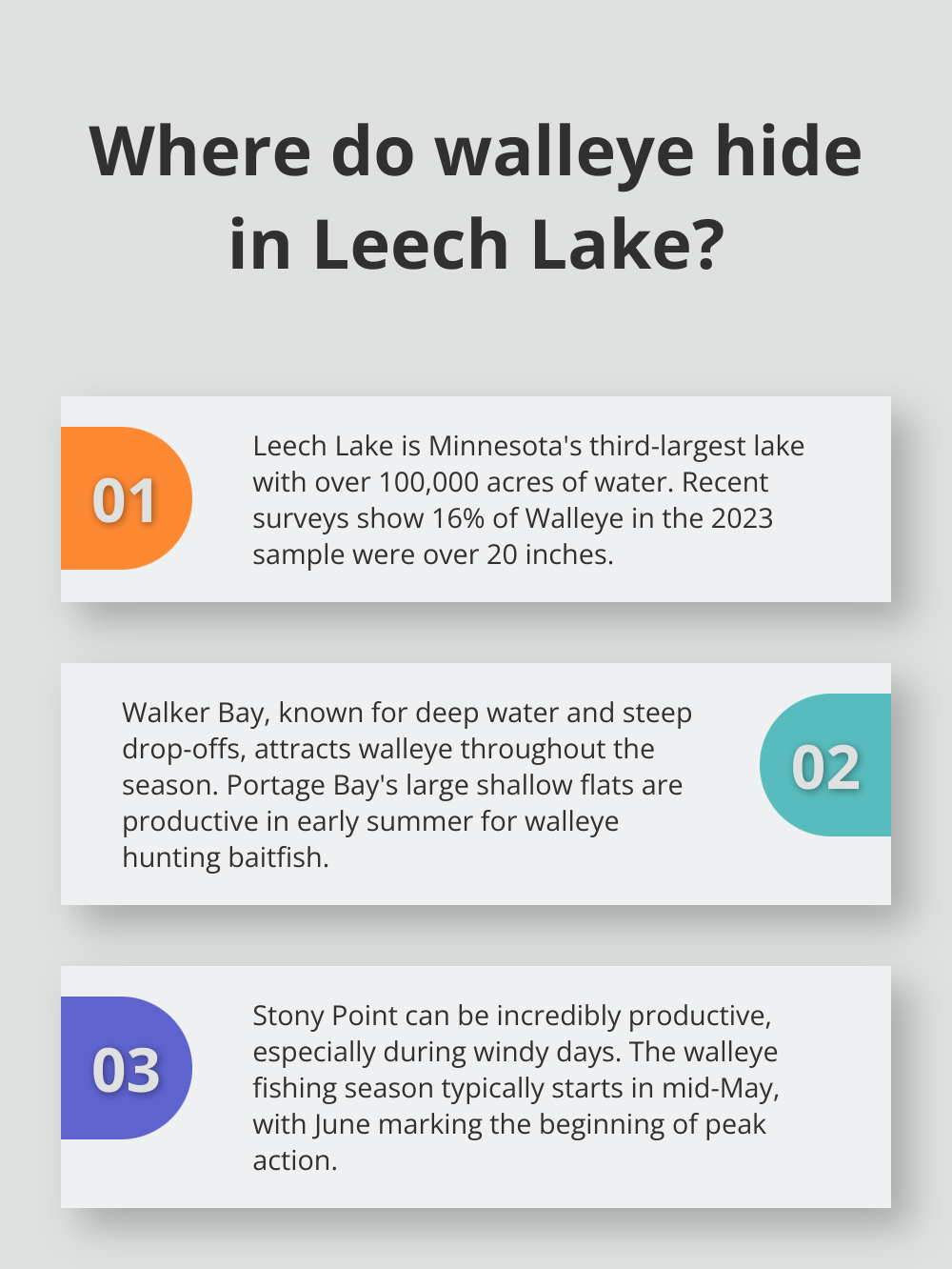 Infographic: Where do walleye hide in Leech Lake?