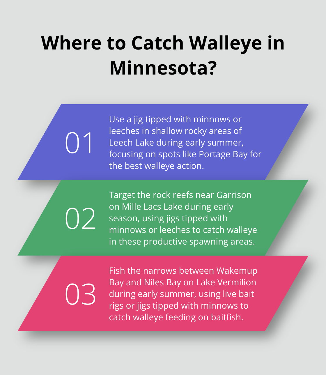 Infographic: Where to Catch Walleye in Minnesota? - minnesota walleye fishing trips