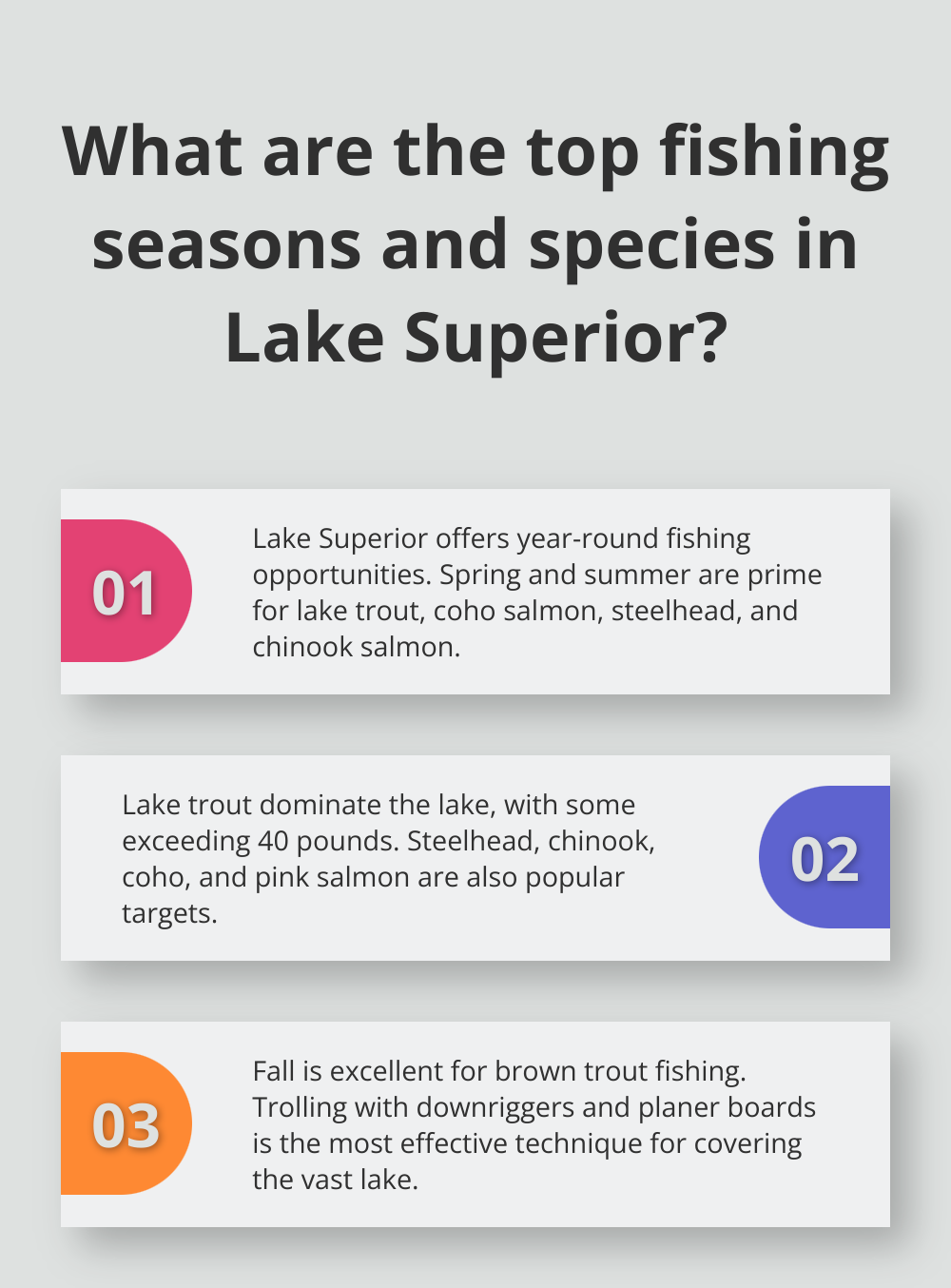 Infographic: What are the top fishing seasons and species in Lake Superior? - northern minnesota fishing trips