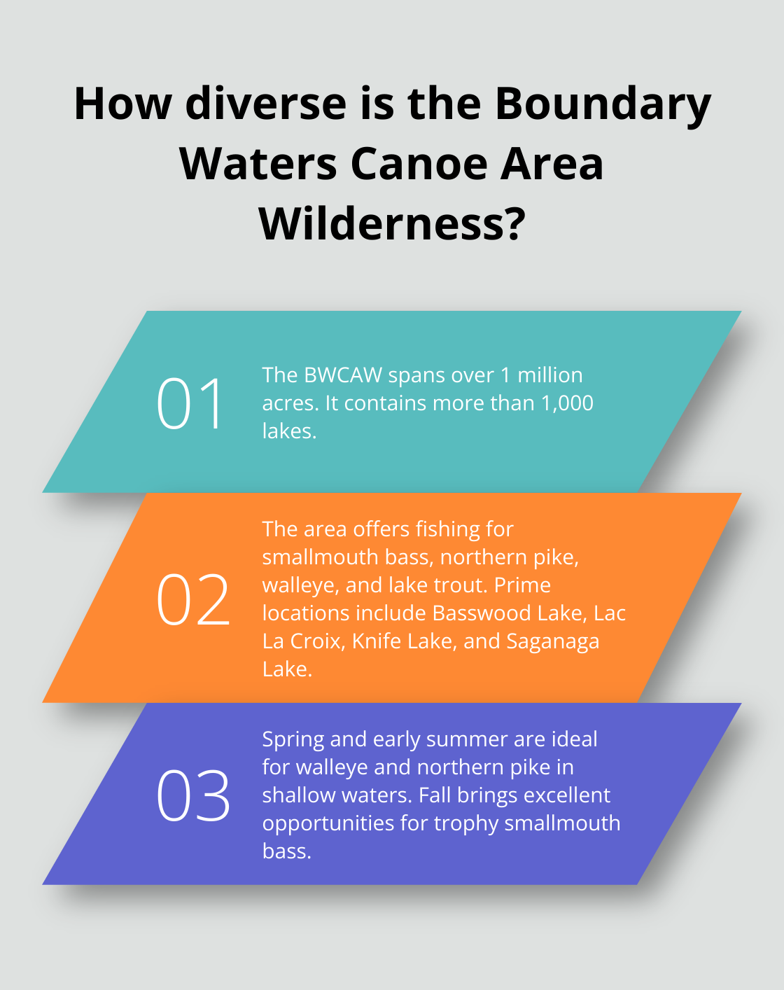 Infographic: How diverse is the Boundary Waters Canoe Area Wilderness?