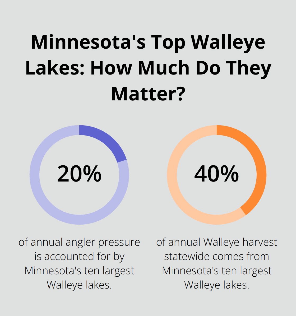 Infographic: Minnesota's Top Walleye Lakes: How Much Do They Matter? - northern minnesota fishing trips