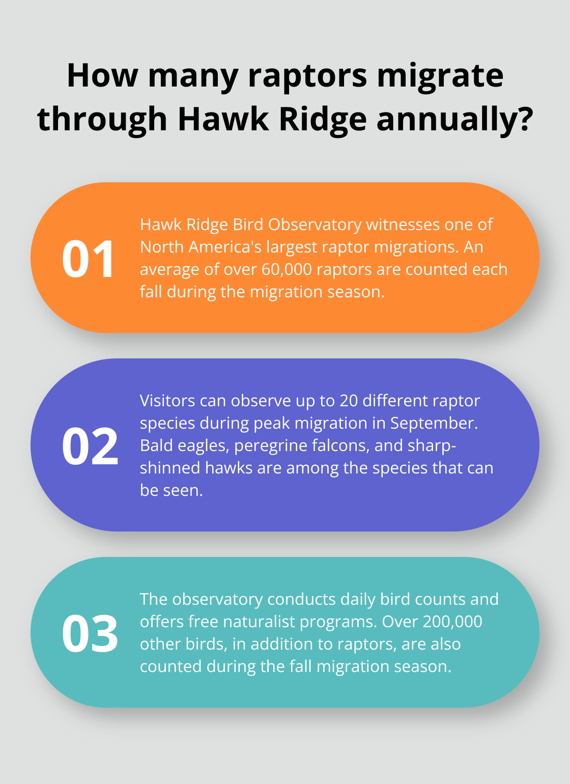 Infographic: How many raptors migrate through Hawk Ridge annually? - duluth mn travel guide