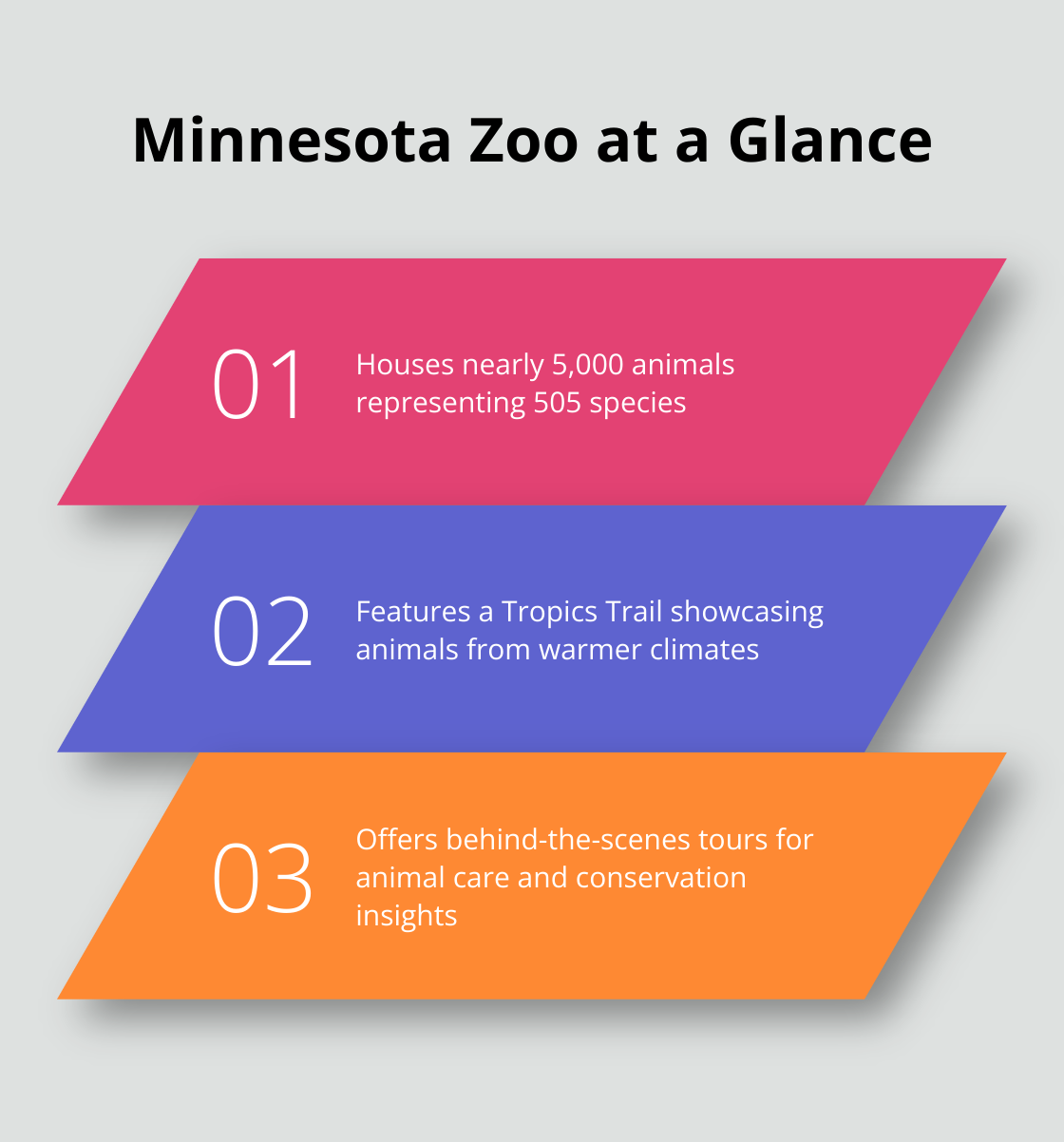 Infographic highlighting key facts about Minnesota Zoo: houses nearly 5,000 animals representing 505 species, features a Tropics Trail, and offers behind-the-scenes tours