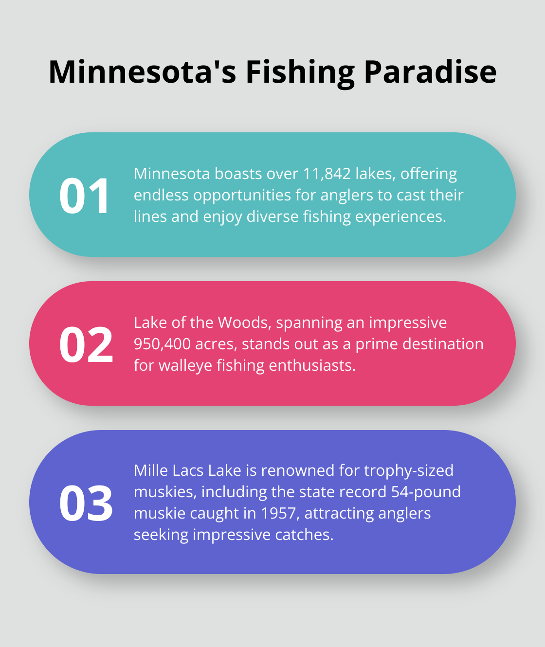 Ordered list chart highlighting Minnesota's impressive fishing statistics