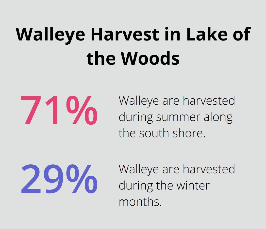 Pie chart showing 71% of walleye harvest occurs in summer and 29% in winter in Lake of the Woods - mn fish house rentals