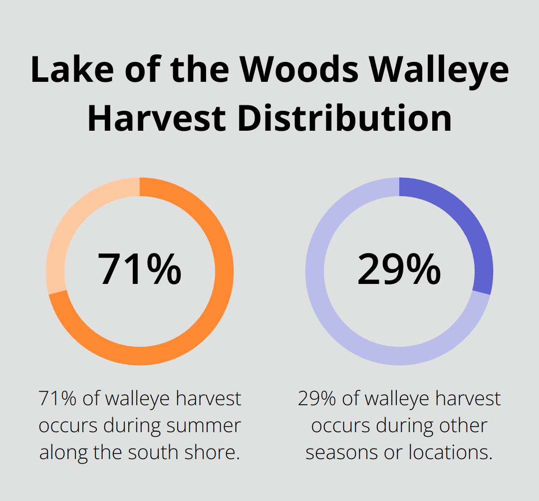 Pie chart showing 71% of Lake of the Woods walleye harvest occurs during summer along the south shore - mn ice fishing rentals