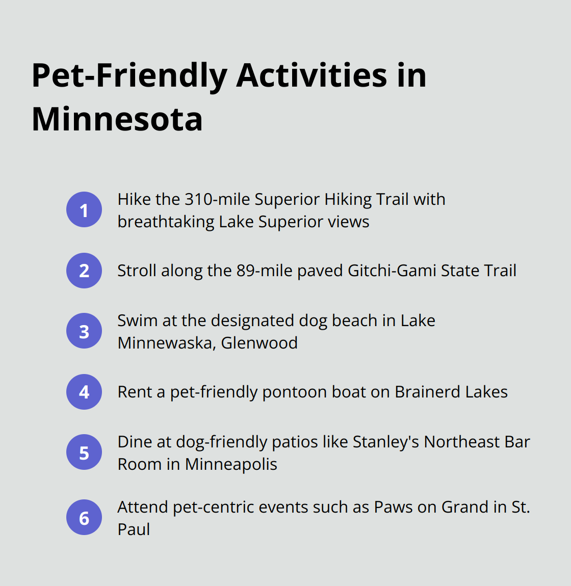 An ordered list of six pet-friendly activities in Minnesota: Hiking on Superior Hiking Trail, Strolling on Gitchi-Gami State Trail, Swimming in Lake Minnewaska, Boating on Brainerd Lakes, Dining at dog-friendly patios, and Attending pet-centric events. - pet-friendly cabins in minnesota