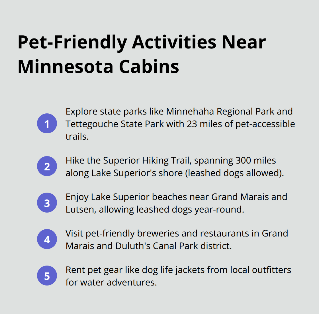 An ordered list chart showing five pet-friendly activities available near Minnesota cabins.