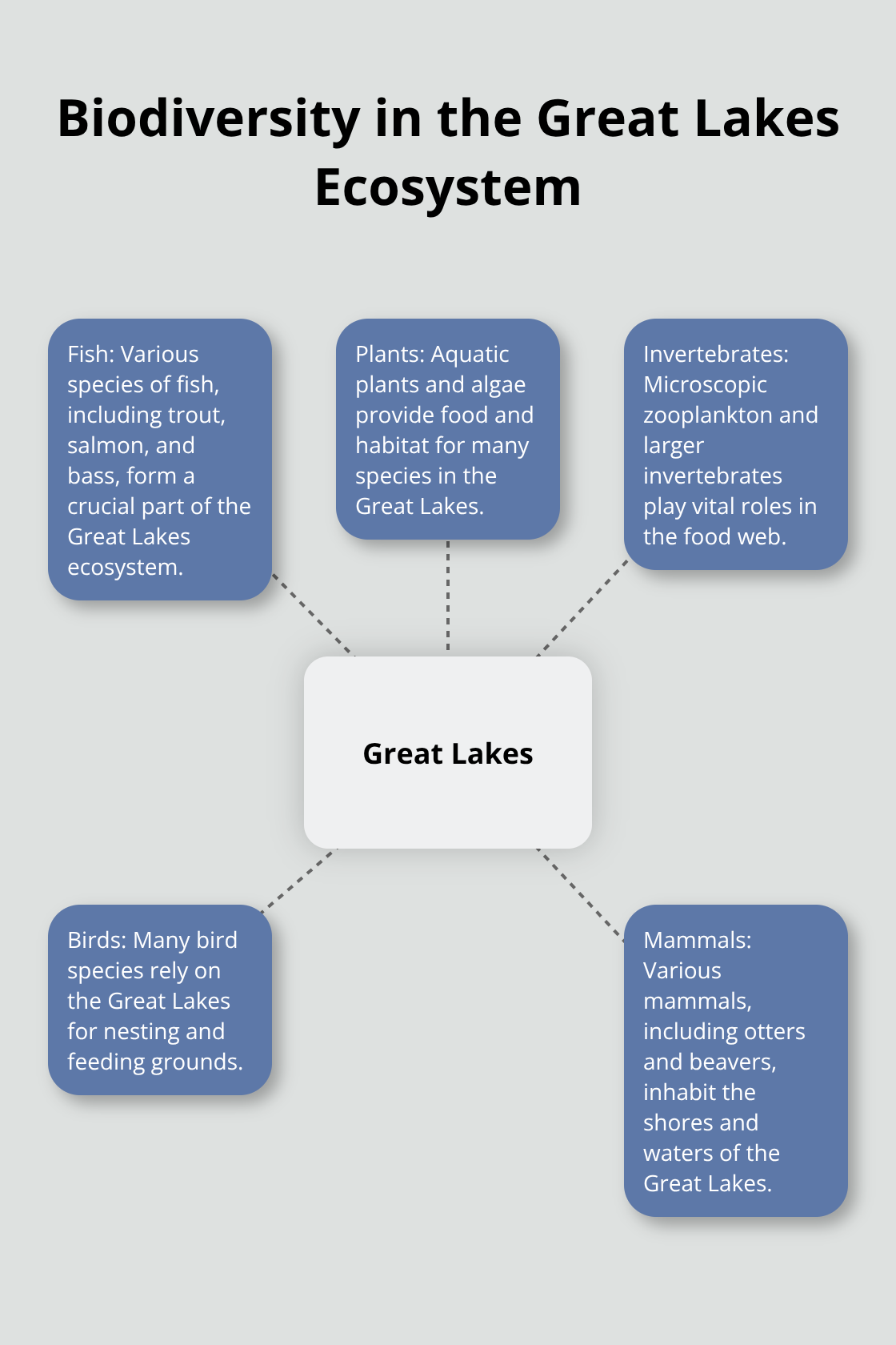 A hub and spoke chart showing the diverse species categories in the Great Lakes ecosystem, including fish, plants, invertebrates, birds, and mammals. - fun facts about lakes and ponds