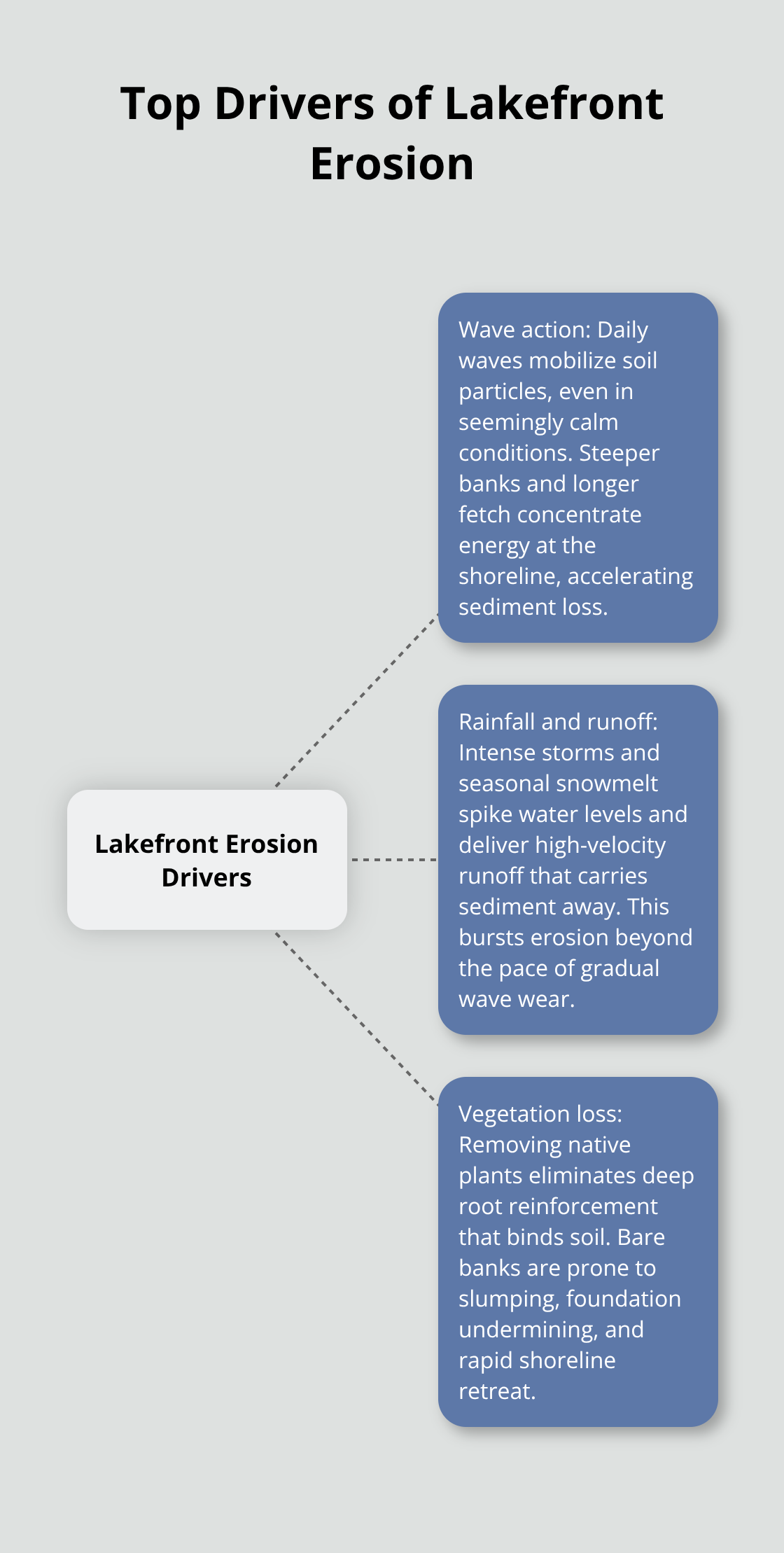 Diagram showing wave action, rainfall and runoff, and vegetation loss as the three primary drivers of lakefront erosion. - lake erosion