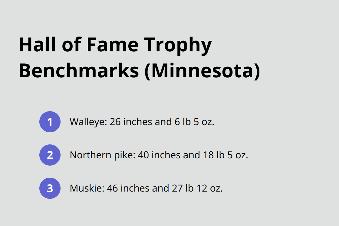 Compact list of Minnesota Fishing Museum Hall of Fame trophy size benchmarks for walleye, northern pike, and muskie. - lake fishing