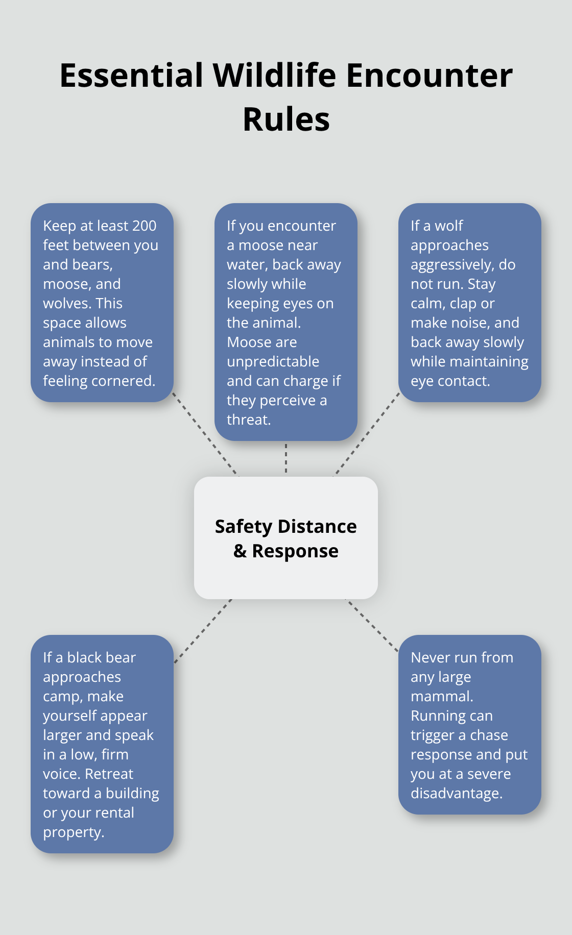 Hub-and-spoke chart showing core safety distance and response actions for encounters with Minnesota wildlife. - lake wildlife