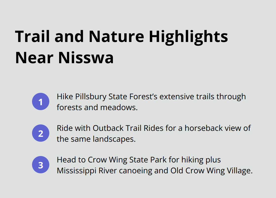 Compact list of outdoor alternatives to lake activities near Nisswa, including trails, horseback riding, and a state park combo.