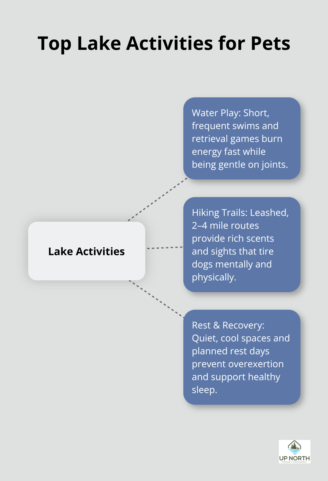 Hub-and-spoke chart of the best lake activities for dogs and cats.