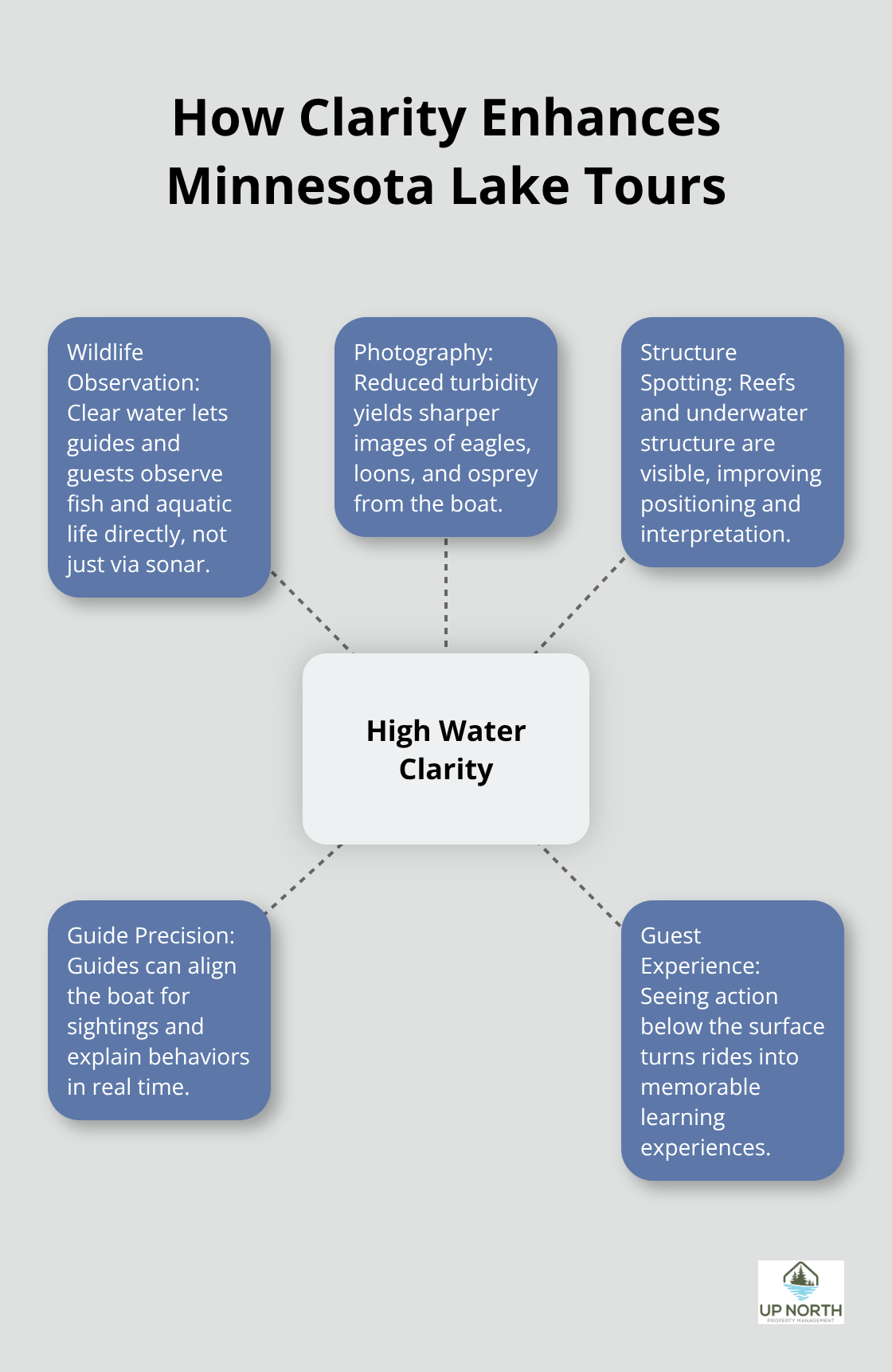 Infographic showing how high water clarity improves wildlife viewing, photography, and guide positioning on Minnesota lakes. - guided lake tours mn
