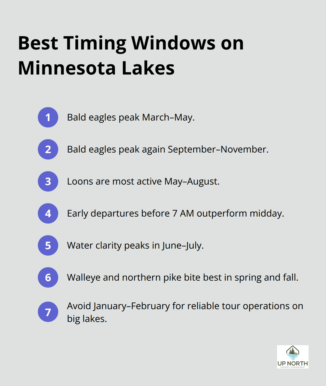 Compact list summarizing peak seasons and times for eagles, loons, clarity, and fish activity on Minnesota lakes. - guided lake tours mn